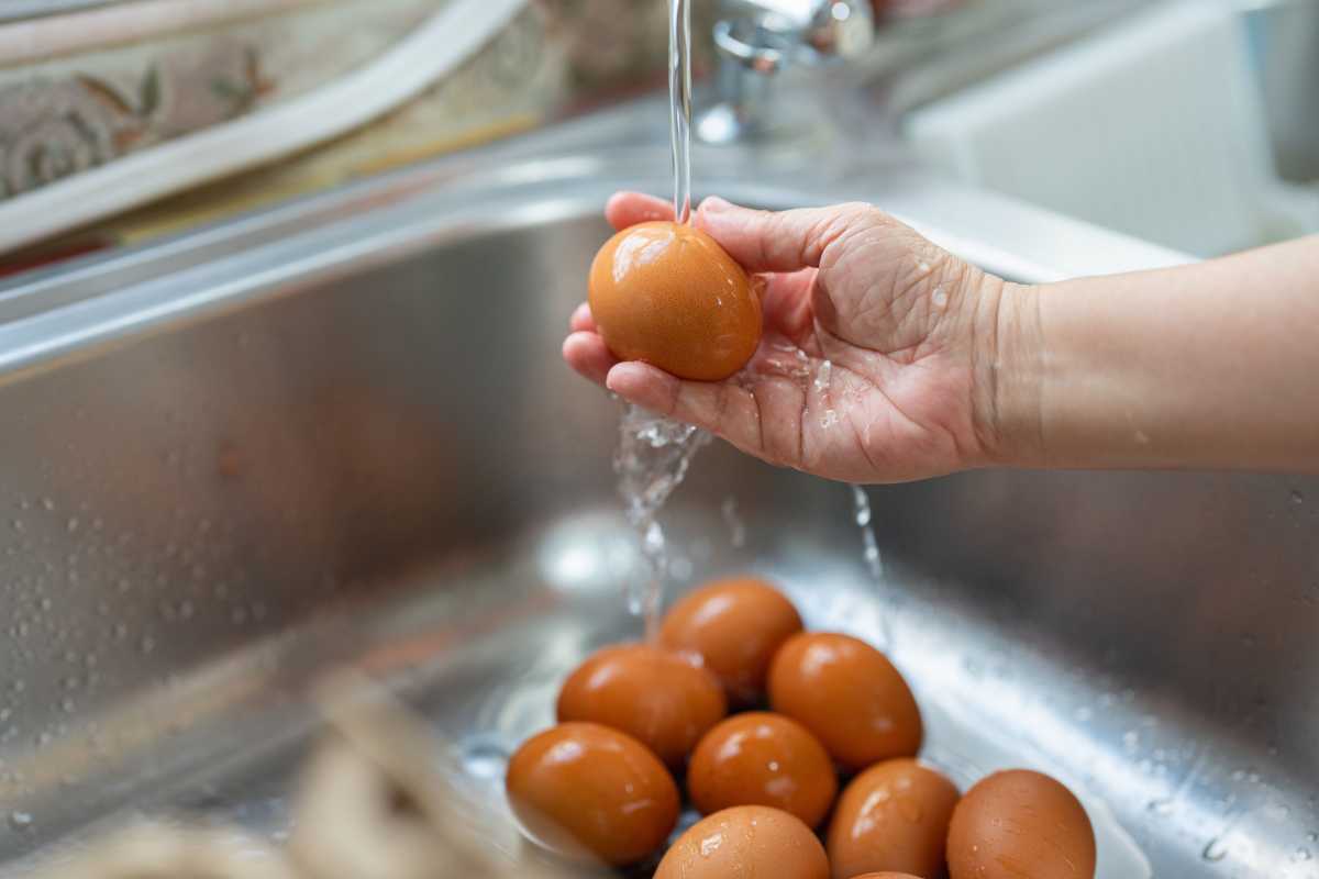 क्या आपको अंडे का उपयोग करने से पहले उन्हें धोना चाहिए? विशेषज्ञों से अंतिम उत्तर प्राप्त करें