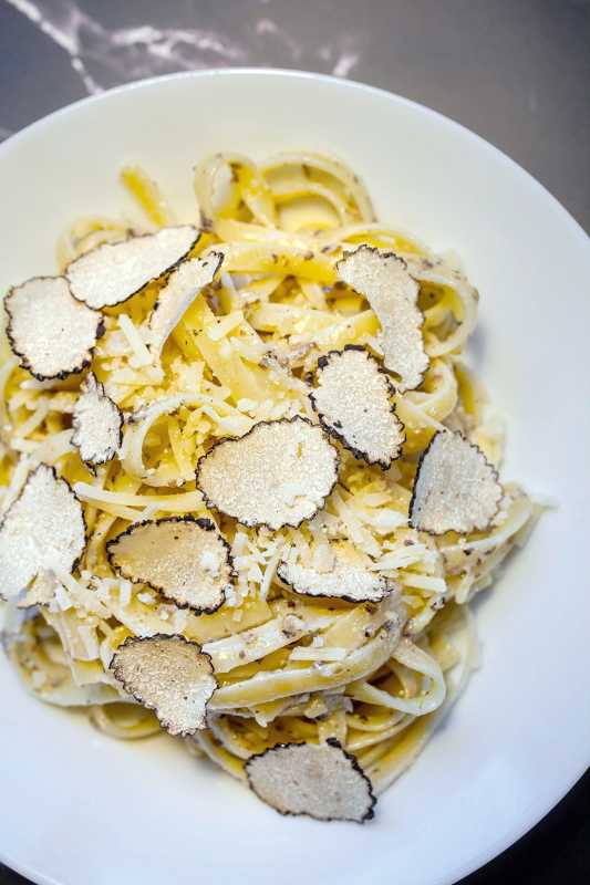 plato ng white cream sauce pasta na may black truffle shavings at parmigiano reggiano cheese