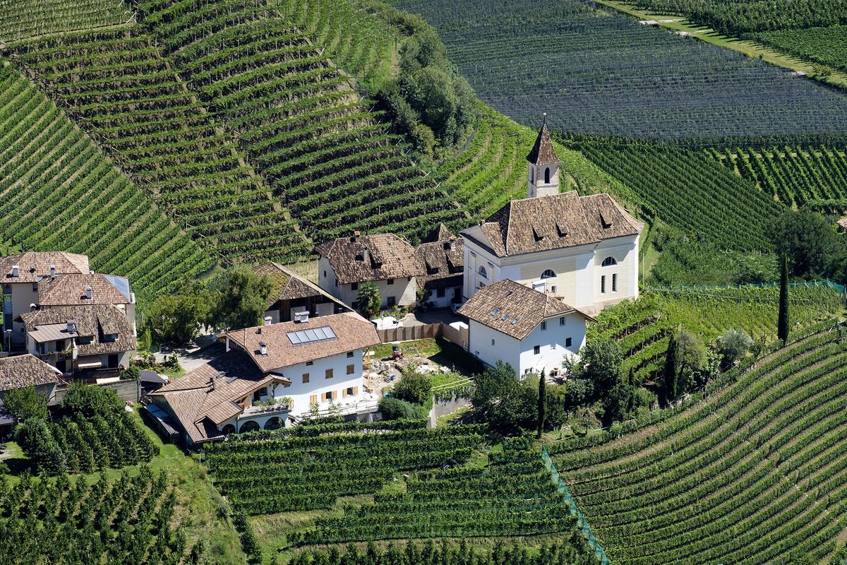 Iglesia y casas en una colina, rodeadas de viñedos