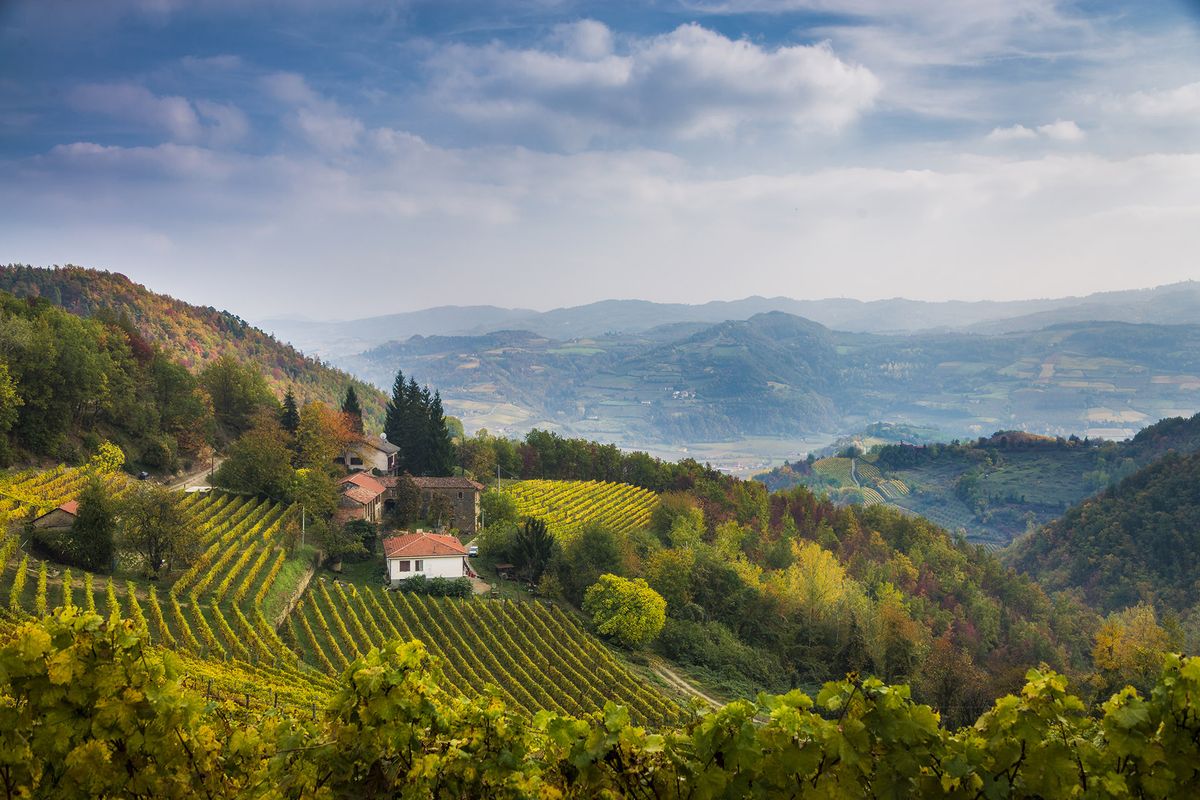 Magníficas villas italianas en una colina con viñedos