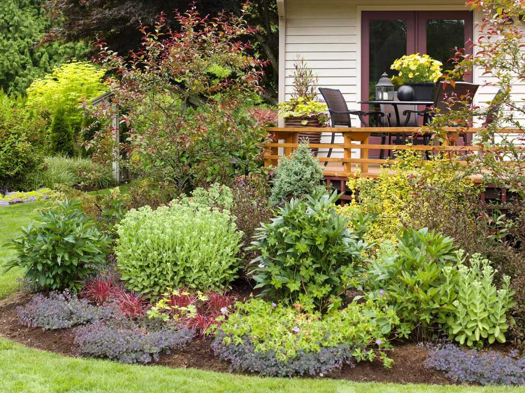 Hoe u rond een terras kunt landschapsarchitectuur maken om uw achtertuin te verbeteren