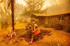 Las evacuaciones desplazan a miles de personas mientras los incendios forestales amenazan a Napa y Sonoma en medio de la cosecha