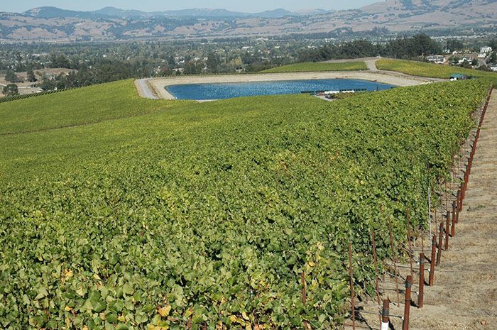 Convertir aguas residuales en vino en el Valle de Guadalupe