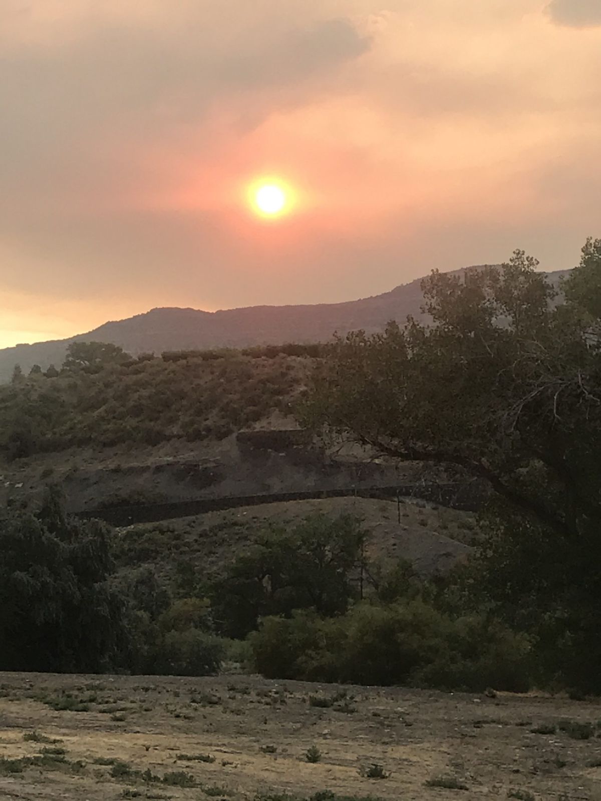 Lav synlighed nær vinmarker ved Palisade, Colorado, i midten af ​​august på grund af røg fra Pine Gulch Fire