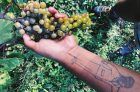 'Nuestra misión es la educación y la conciencia': Philip Long sobre la Asociación de viticultores afroamericanos
