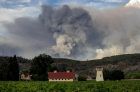 У Сономи, Винска индустрија рачуна са пожарима и пандемијом