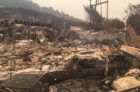 Napa och Sonoma tävlar med skogsbränder när skörden börjar