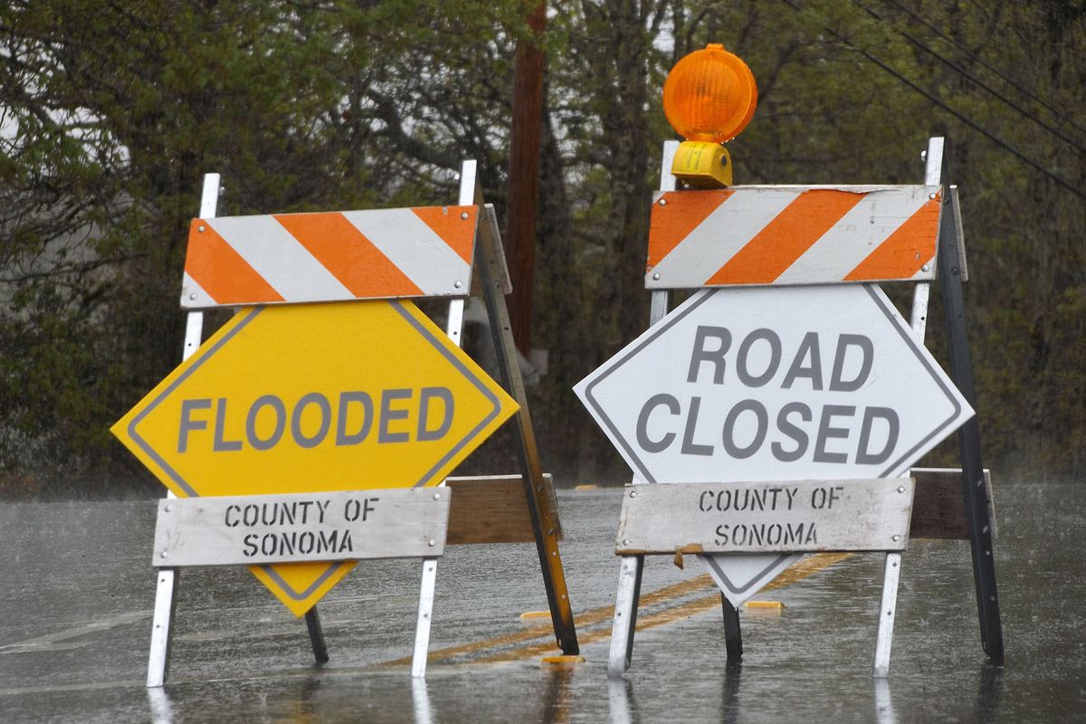 Hvordan flommen påvirket Sonomas 2019-årgang