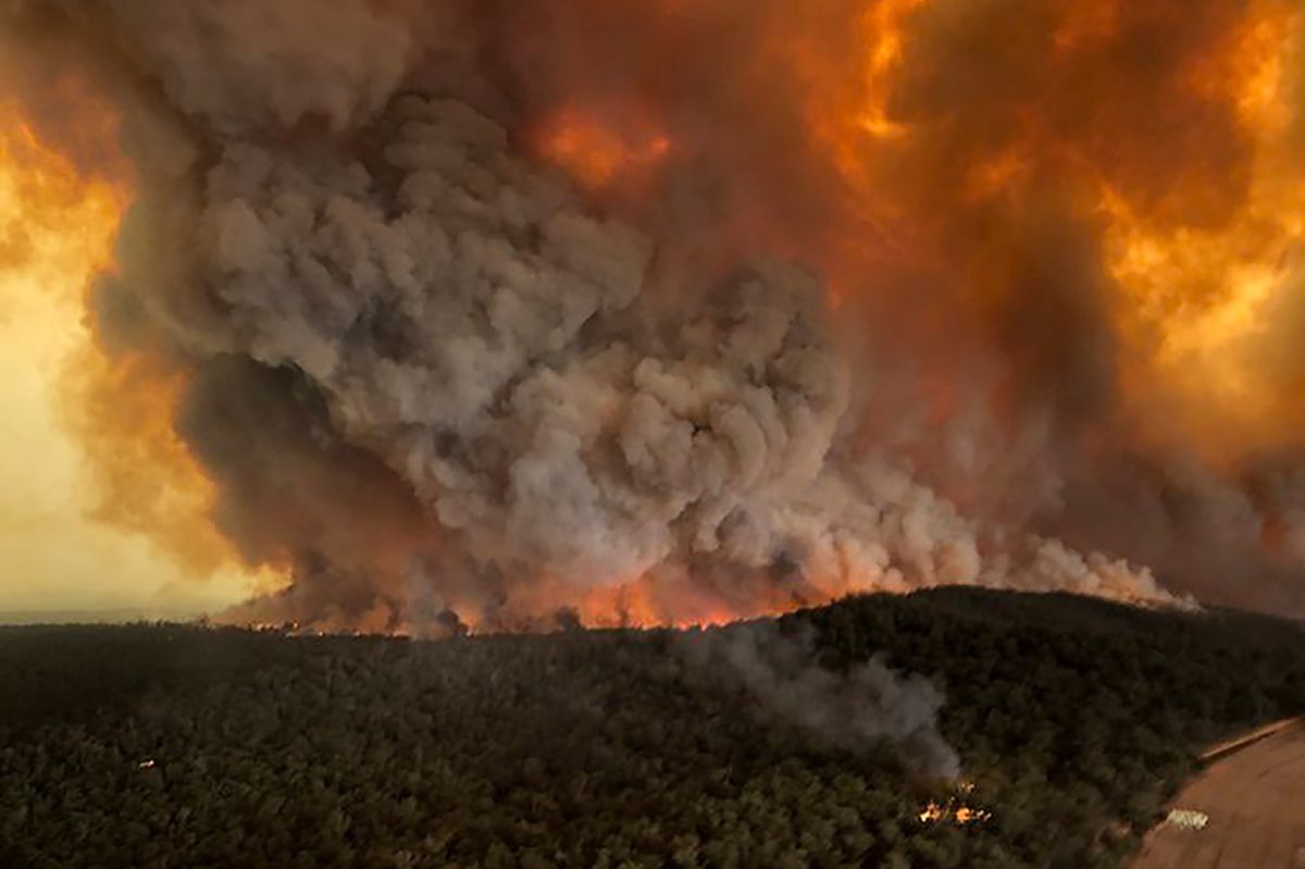 Gli incendi danneggiano l'uva australiana