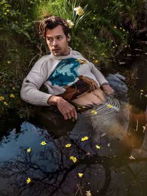 Photographie de Harry Styles allongé dans un étang