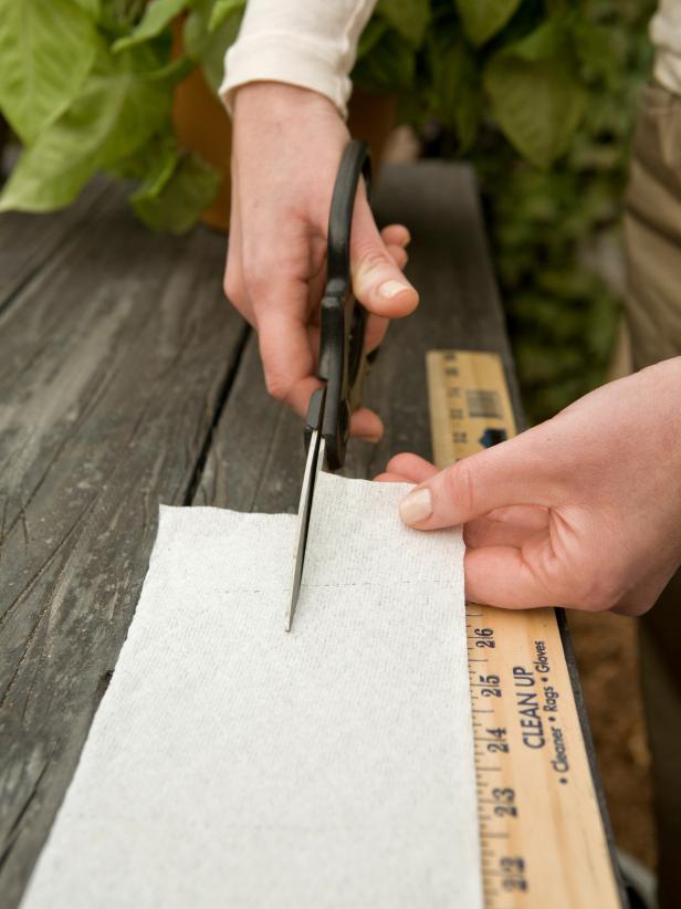 Si la fila de plantació serà estreta i recta, talleu el paper higiènic per la meitat al llarg de la longitud.
