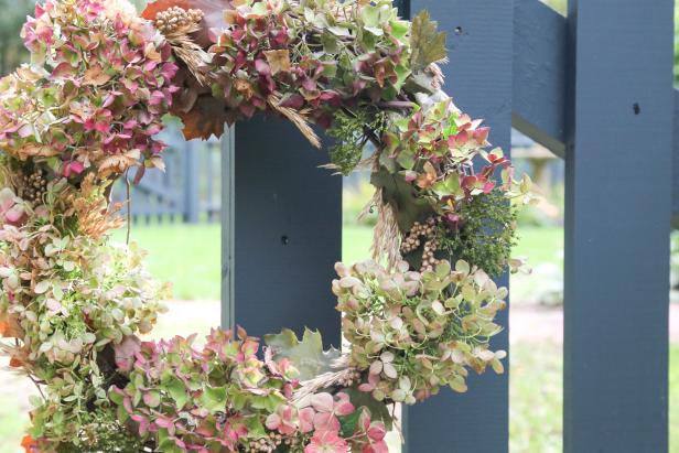 Một vòng hoa cẩm tú cầu treo trên cổng vườn.