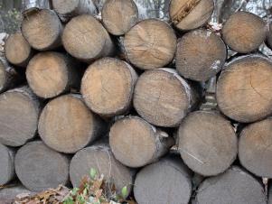 Wie man Outdoor-Rentiere aus Baumstämmen herstellt