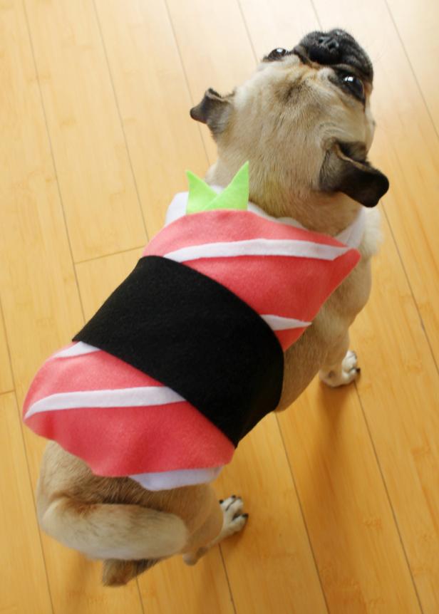 Kuinka tehdä sushi-Halloween-puku koirallesi