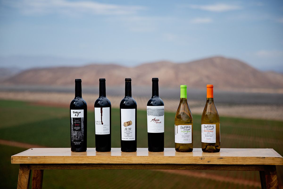 Pilihan wain Baja / Foto oleh Cintia Soto