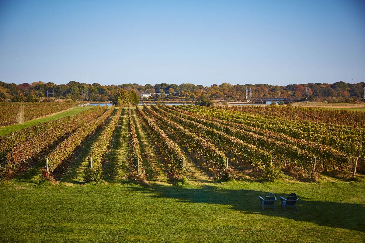 Maritime Klimazonen und unterschiedliche Stile definieren New England Wine