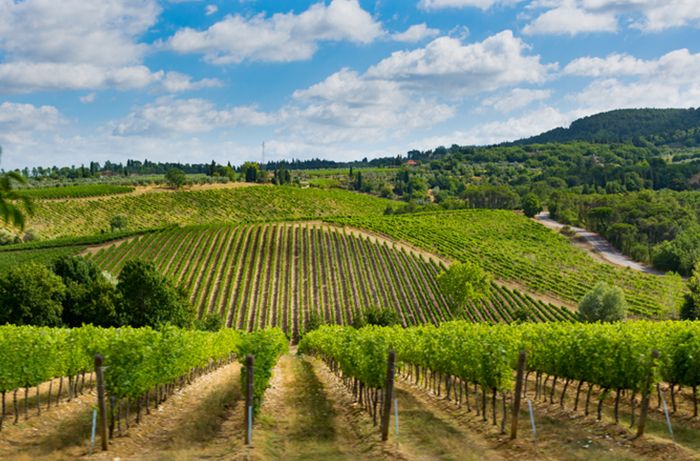 De charmes van Vino Nobile di Montepulciano blootleggen