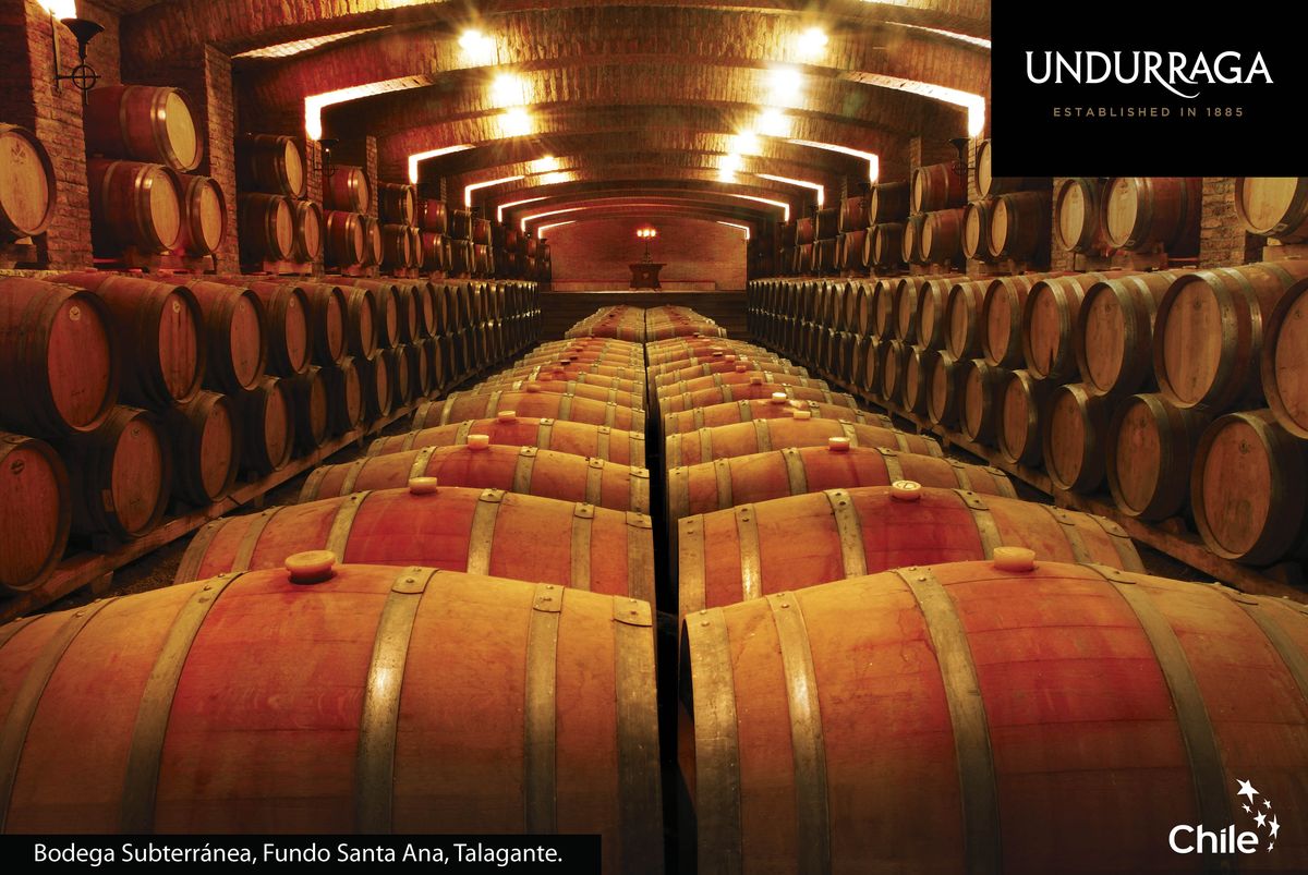 winery-undurraga-copy