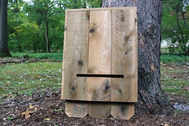 Aprenda a hacer un refugio para murciélagos de cedro e instálelo en su patio trasero.