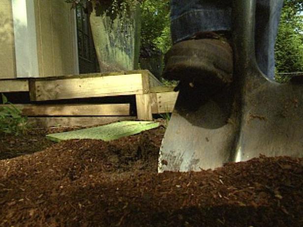 Condicionar el sòl per millorar la textura i el drenatge.