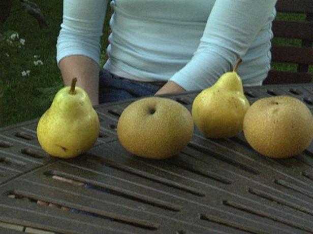 Paano Lumaki ang Mga Asian Pears