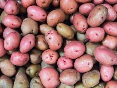 Osnove biljaka krumpira