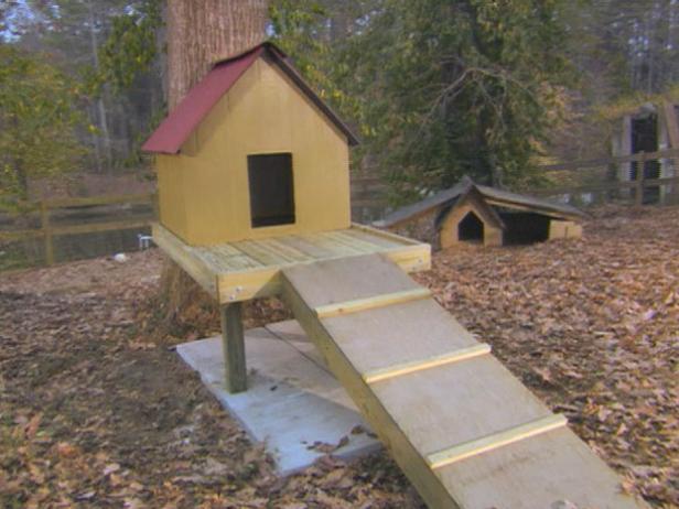 Како изградити кућицу за псе на дрвету