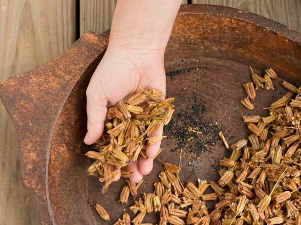 separarea manuală a semințelor de păstăile de semințe într-un castron