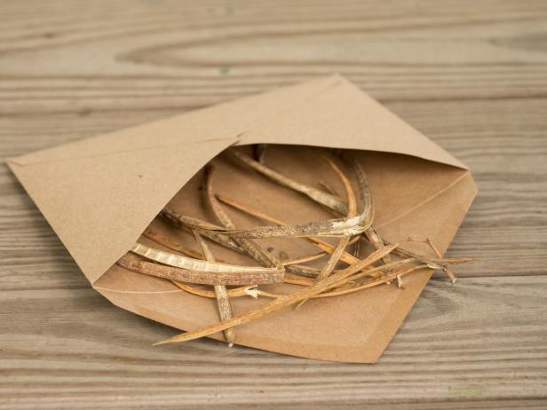 stroki fižola v ovojnici iz rjavega papirja
