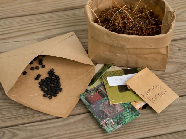 Le stockage des graines de toutes sortes dans du papier brun aide à les garder à l