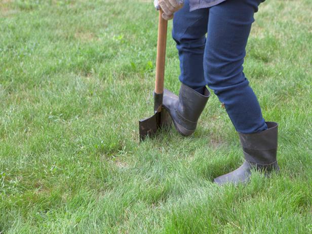 + 146919961_grass-digging-spade