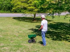 Jak opravit trávník pomocí sodíku