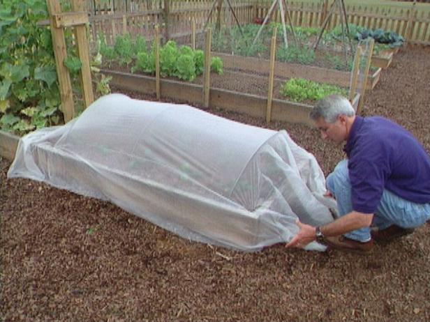 Usa le coperture per le file per proteggere le piante di spinaci