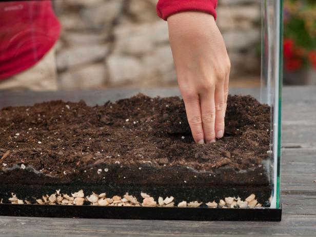 Crea un agujero en la base de tu terrario para tus plantas.
