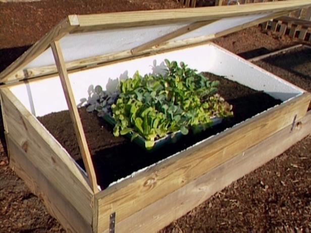 DFFG113_cold-frame-top-angle-cut_s4x3