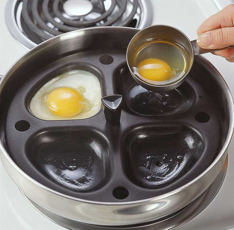 כוס מדידה של מחבת ביצים לאילוף