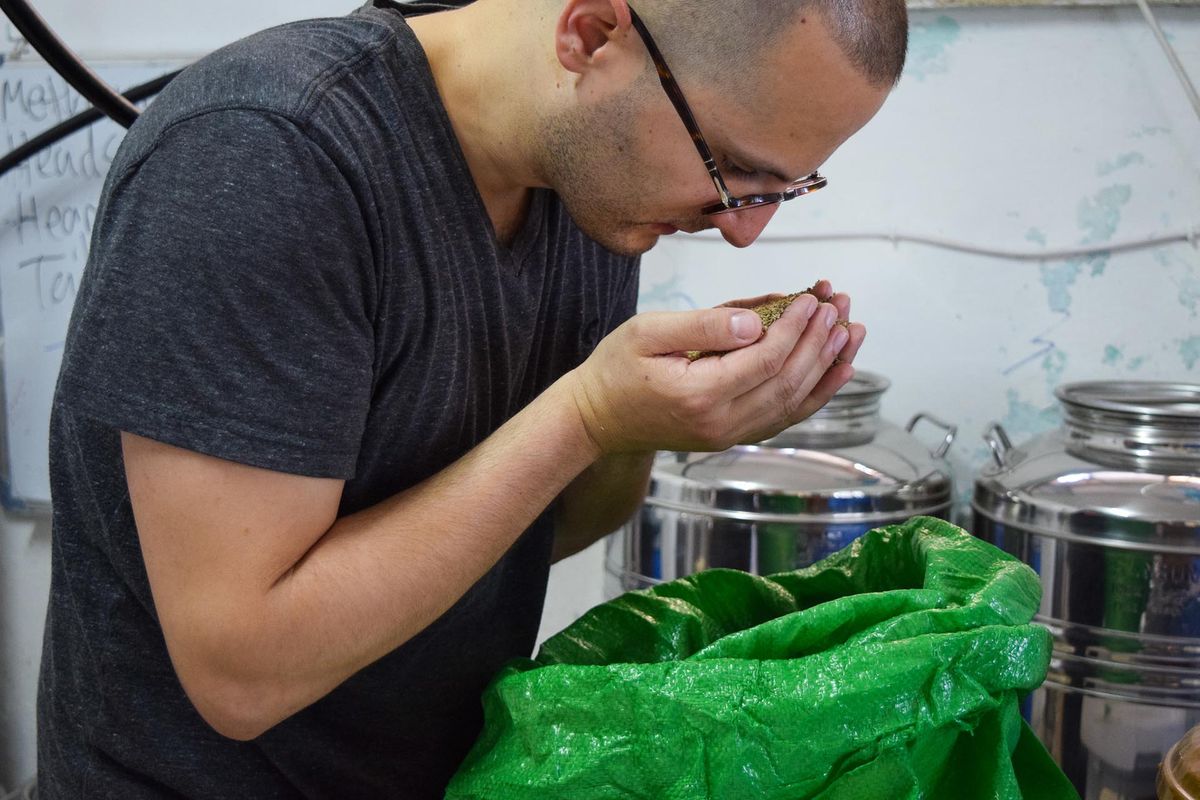 Дестилатор Надер Муади, миришещ на семена от анасон на палестински анасон / Снимка Габриел Хелу