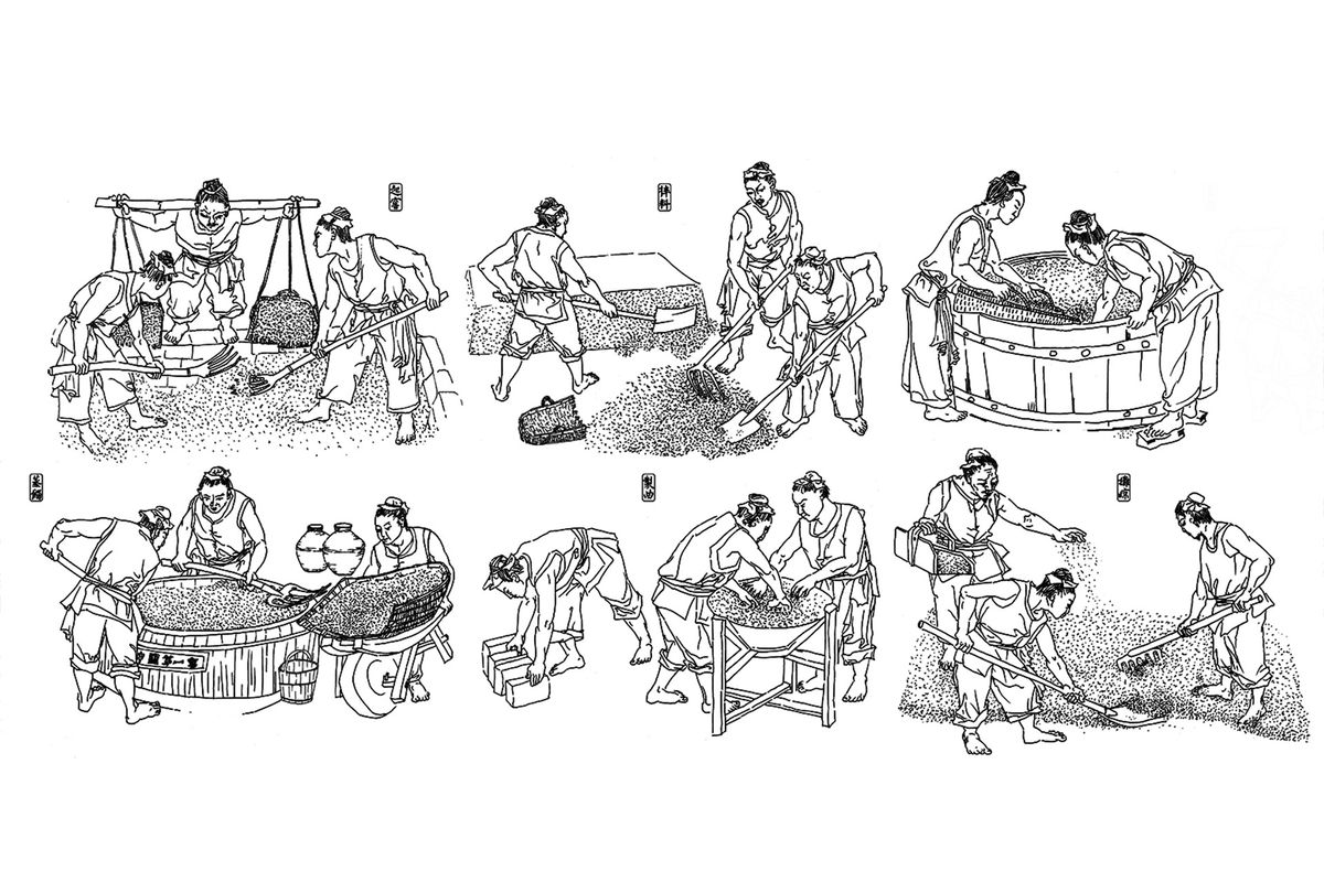 Različiti koraci proizvodnje baijiu / ilustracija ljubaznošću Luzhou Laojiao
