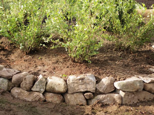 När stenmuren är 8 till 10 tum lång, plantera sängen av bärbuskar.