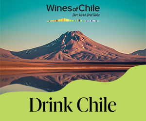 สภาวะที่รุนแรงและสภาพภูมิอากาศที่เปลี่ยนแปลงในชายแดนการผลิตไวน์ทางใต้ของ Patagonia