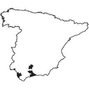 Andalucía y el Triángulo del Jerez