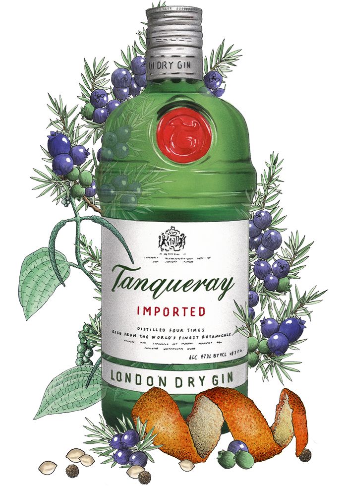 Ilustración de botella de ginebra Tanqueray