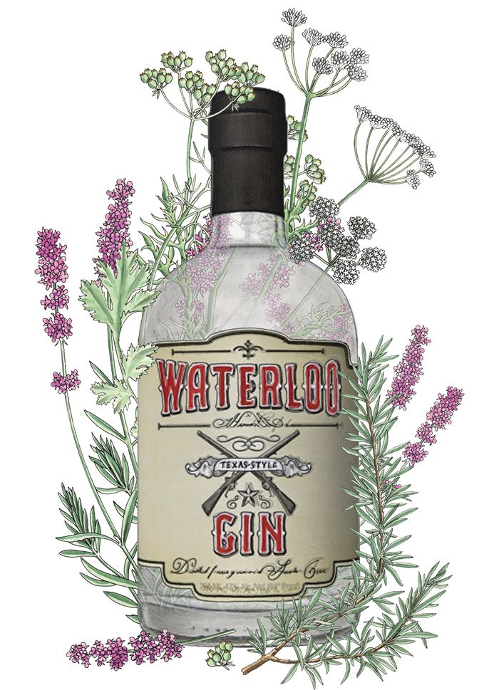 Waterloo gin flaska illustration