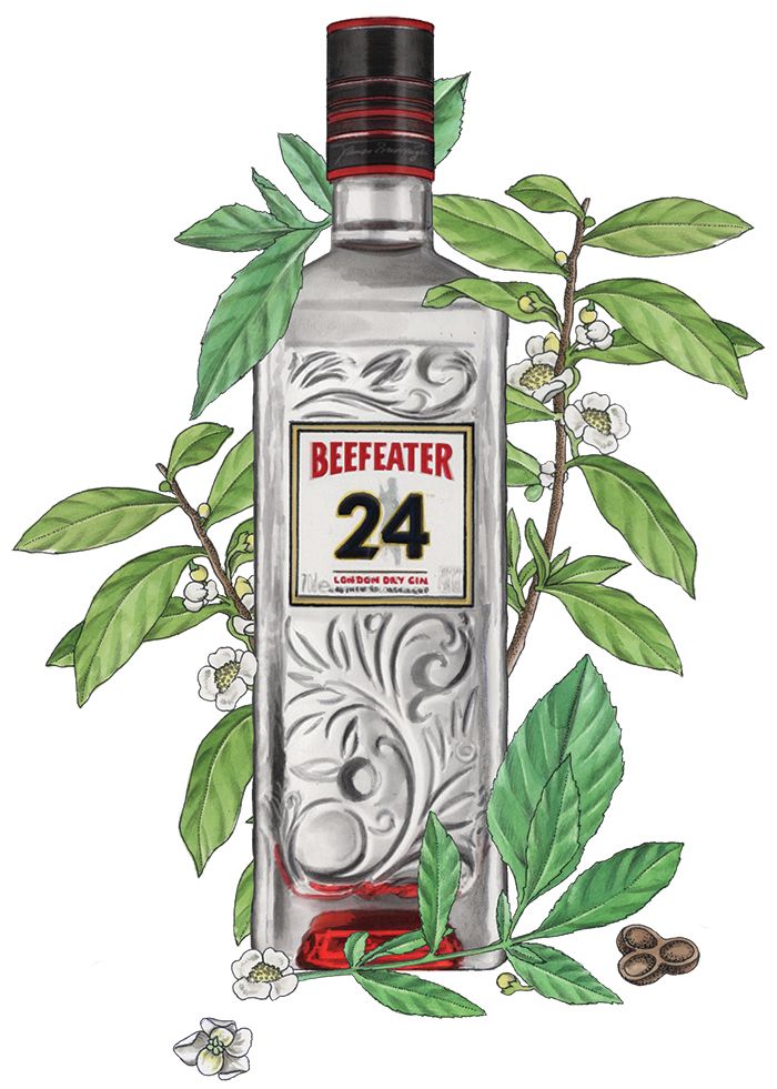 Beefeater 24 Gin Flasche Illustration