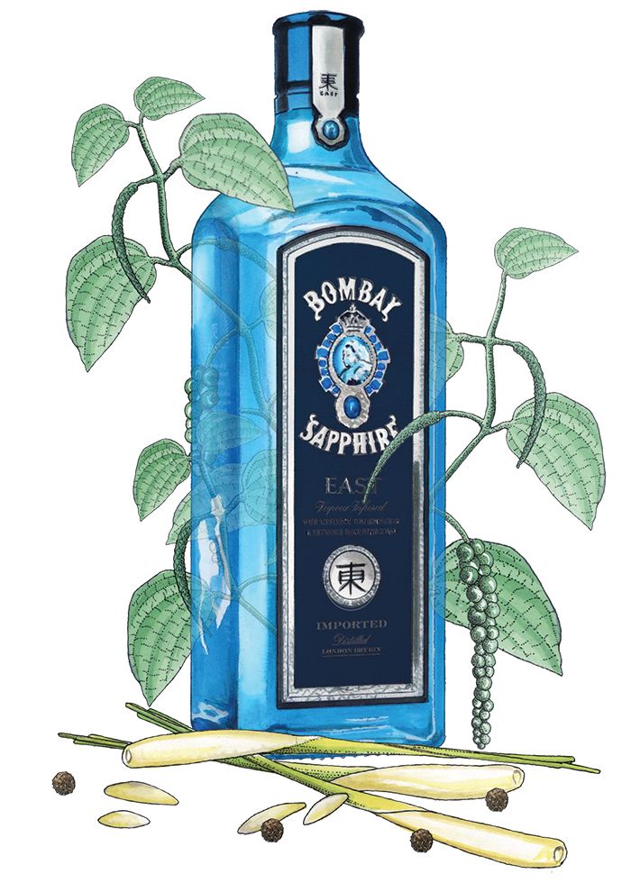 „Bombay Sapphire East“ butelio iliustracija