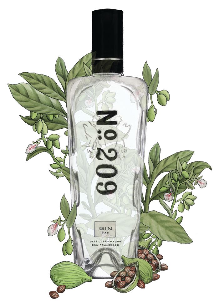 Ilustración de botella de ginebra No. 209
