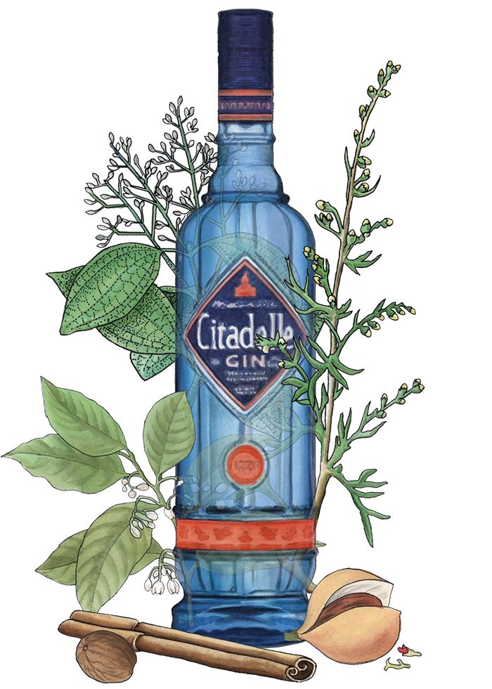 Иллюстрация бутылки джина Citadelle