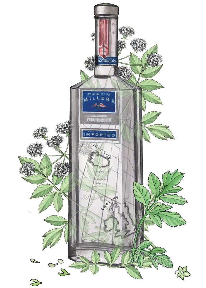 Gin Botanicals, dekodirano