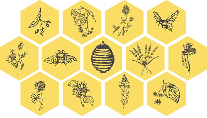 Gráfico de abejas, miel y flores.