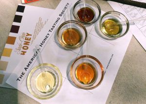 Se comparan diferentes mieles en una cata / Foto cortesía de American Honey Tasting Society, Facebook